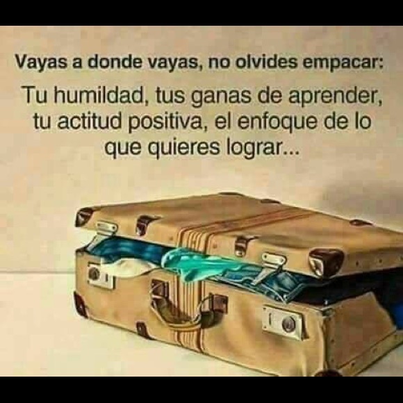 @reynar76 - Picture 4 of 8